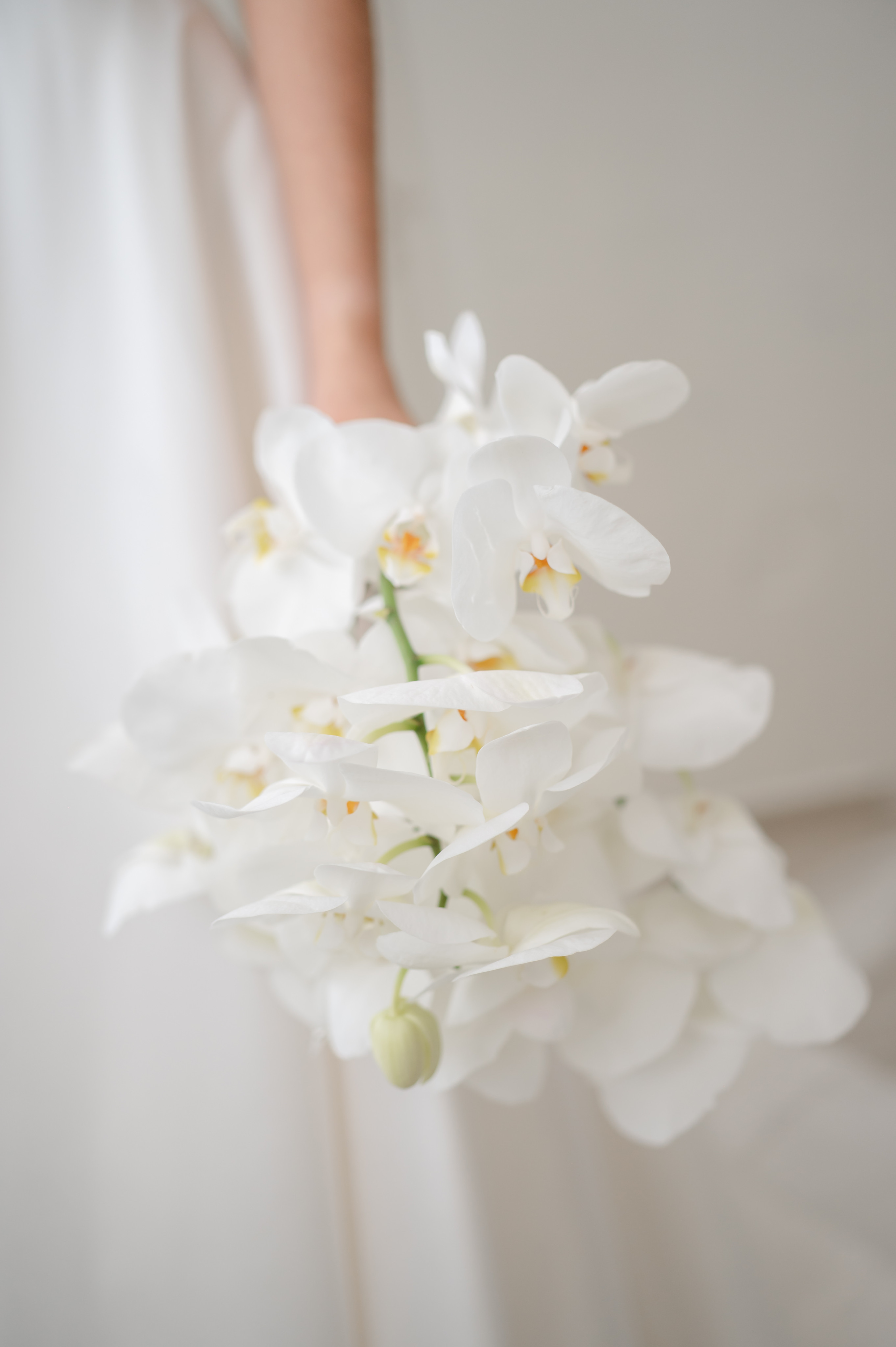 Ramo de orquídeas